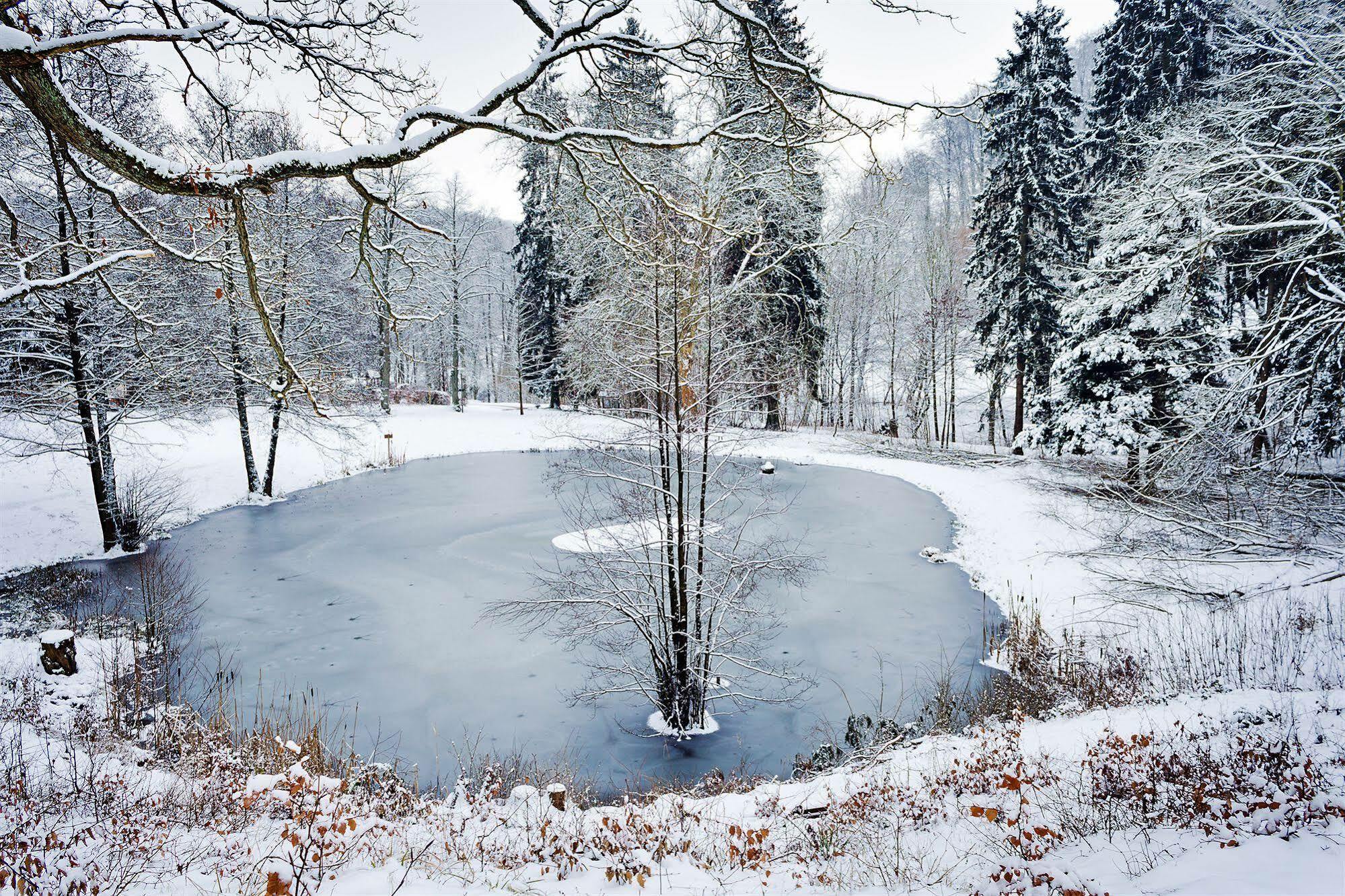 Ferien Hotel Villa Suedharz Sülzhayn Dış mekan fotoğraf